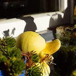 Apartmán Aargovia Wengen