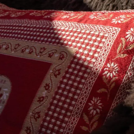 Aargovia Appartement Wengen