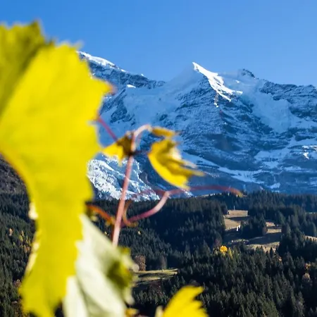 Appartement Aargovia *