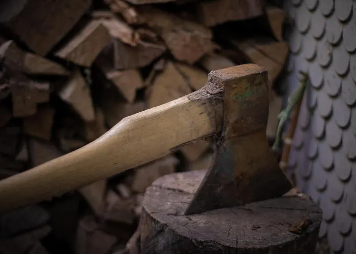 Apartment Aargovia *