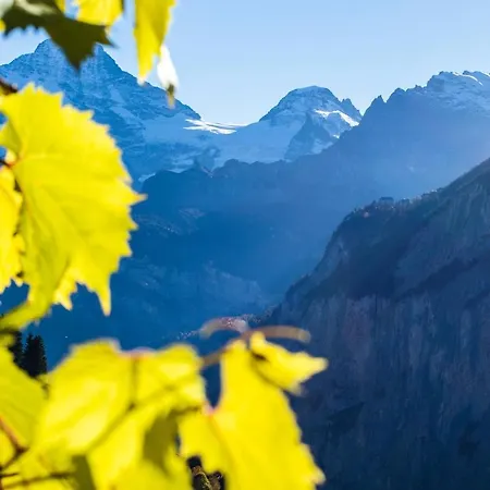 Apartamento Aargovia Wengen