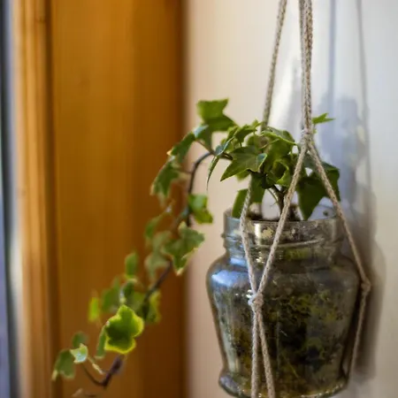 Aargovia Венген