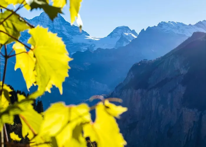 Appartement Aargovia Wengen